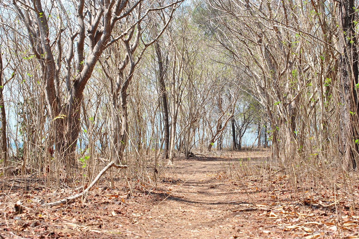 waldstrasse-gili-nanggu