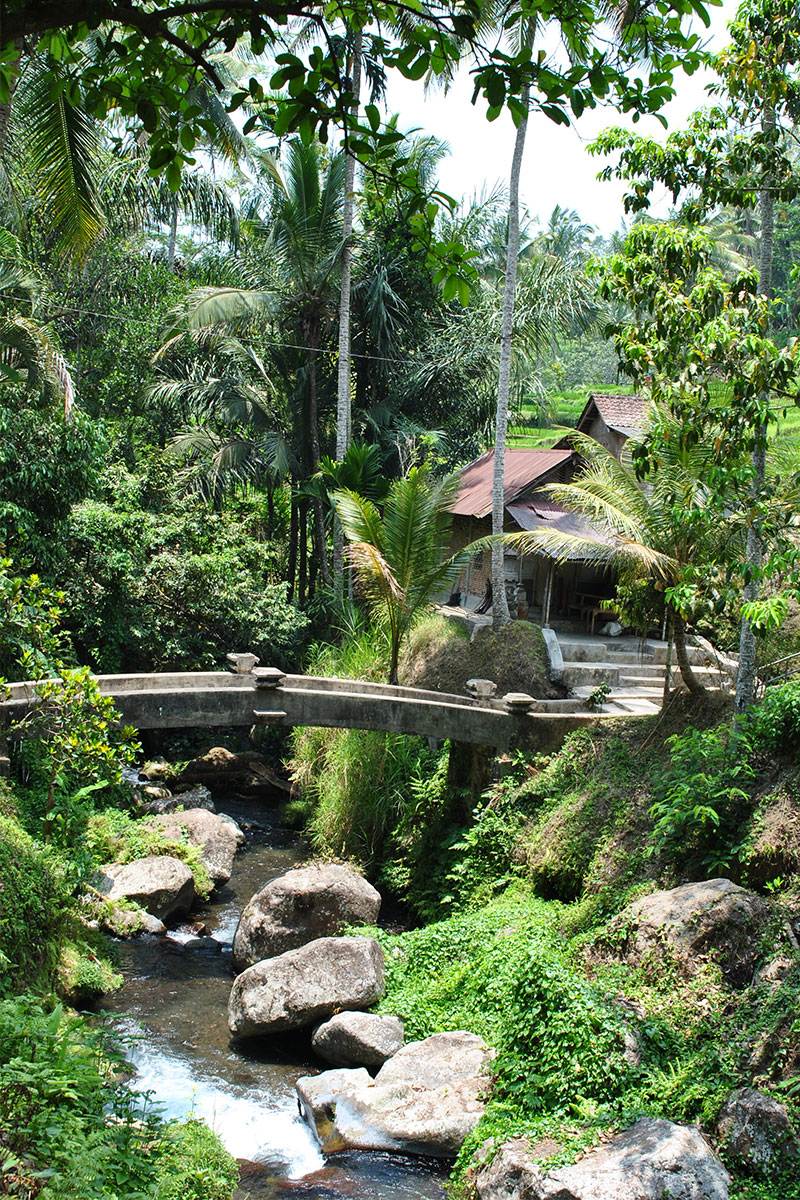 Gunung-Kawi-Tempeltour-in-Bali